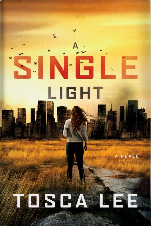 A Single Light Cover